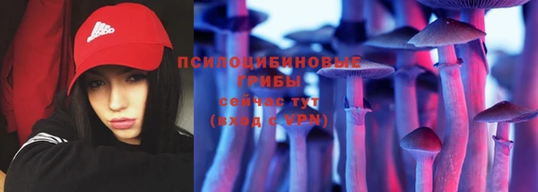 ГАЛЛЮЦИНОГЕННЫЕ ГРИБЫ Алексеевка