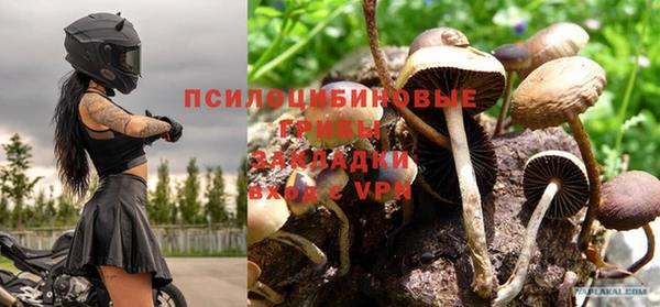 прущая мука Алзамай