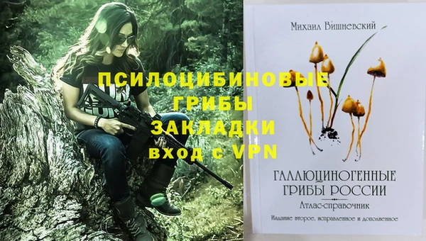 дурь Покачи
